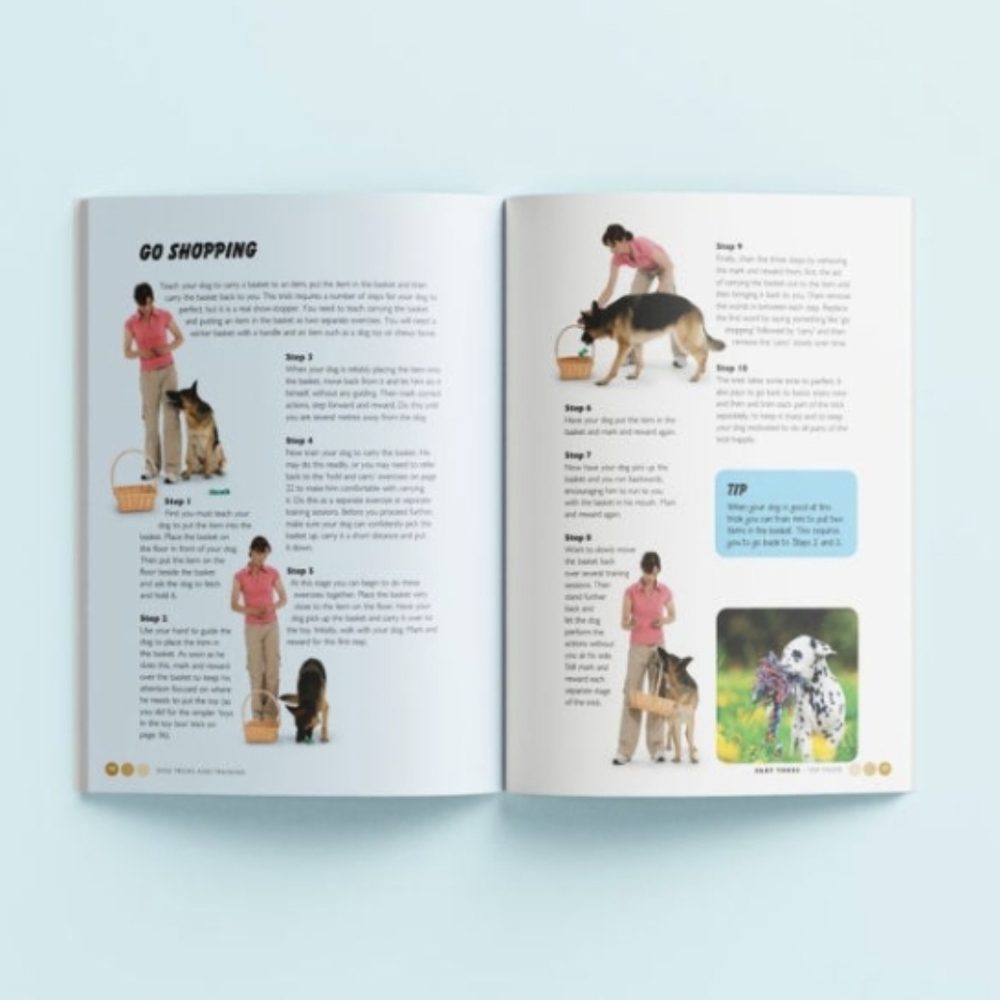 Dog Tricks & Training - Picture 4 of 6